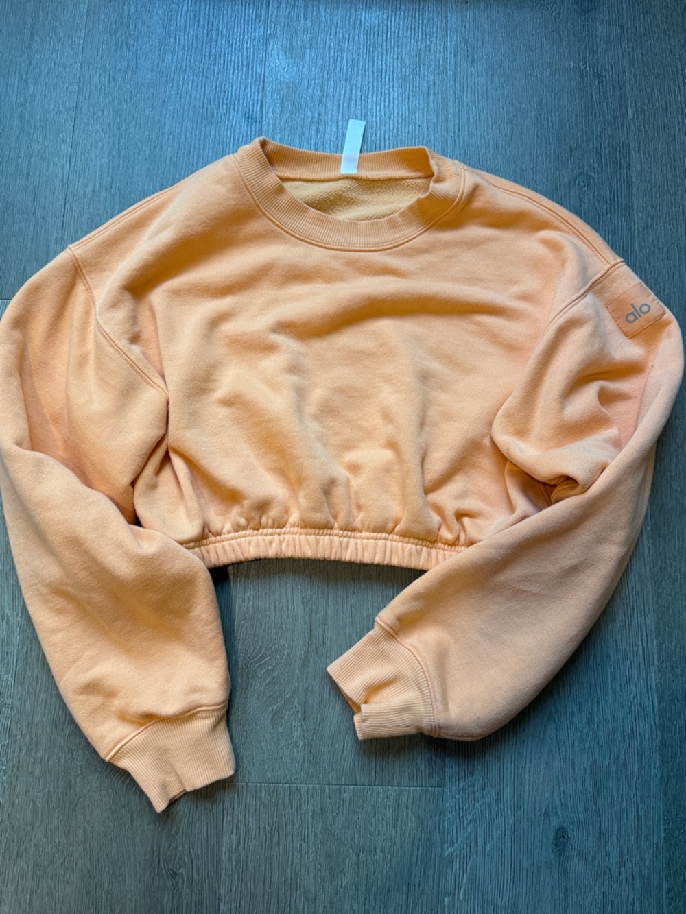 ALO Yoga Cropped Crewneck Sweatshirt